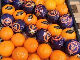 Апельсин SPIRIT