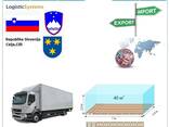 Автотранспортні вантажні перевезення з Целє в Целє разом з Logistic Systems - фото 6