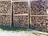 Beech Firewood