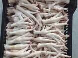 Chicken Feet and chicken paws and whole halal chicken at the best prices with prompt shipp - фото 5