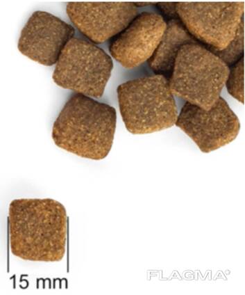 Dog Food Directly from the Manufacturer! Fresh and high-quality