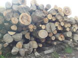 Дрова / Firewood / Brennholz - фото 7