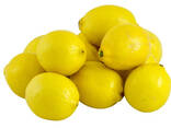 Fresh lemon fruits for sale - photo 1