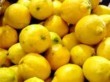 Fresh lemon fruits for sale - photo 2