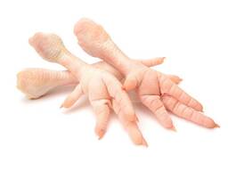 Frozen Chicken Feet