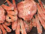 Frozen Dungeness Crab / Live Blue Swimming Crab For Sale/ Norway Red King Crabs - фото 3