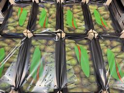 Hruška »Conference«