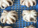 Мороженная рыба и морепродукты в Словению от производителя из КНР - photo 7