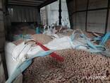 Продажа пеллет из отрубей пшеницы 6,8,10мм - photo 2