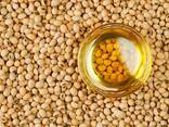 Soybean oil/Sojino olje - фото 1