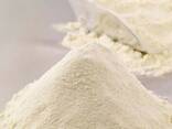 Whole and skimmed milk powder offer - фото 1