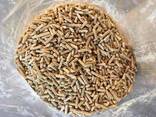 Wood Pellets 6mm 8mm, Wood Pellet suppliers in wholesale - фото 1