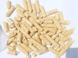 Wood Pellets for District Heating &amp;amp; Energy Plants - photo 2