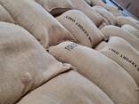 Green coffee, unroasted, assorted - фото 2