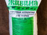 ZHYVYNA FOR ANIMALS (compound feed) - фото 2